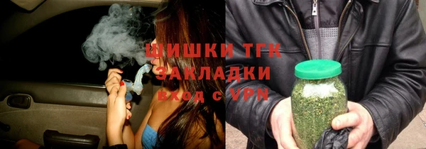 гашик Алексеевка
