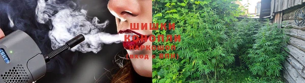 гашик Алексеевка