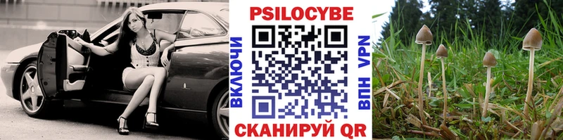 Галлюциногенные грибы Cubensis  купить   Пермь 