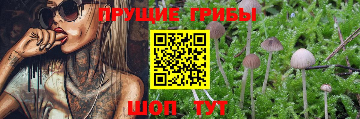 Пермь  Псилоцибиновые грибы Magic Shrooms  Вход с VPN 